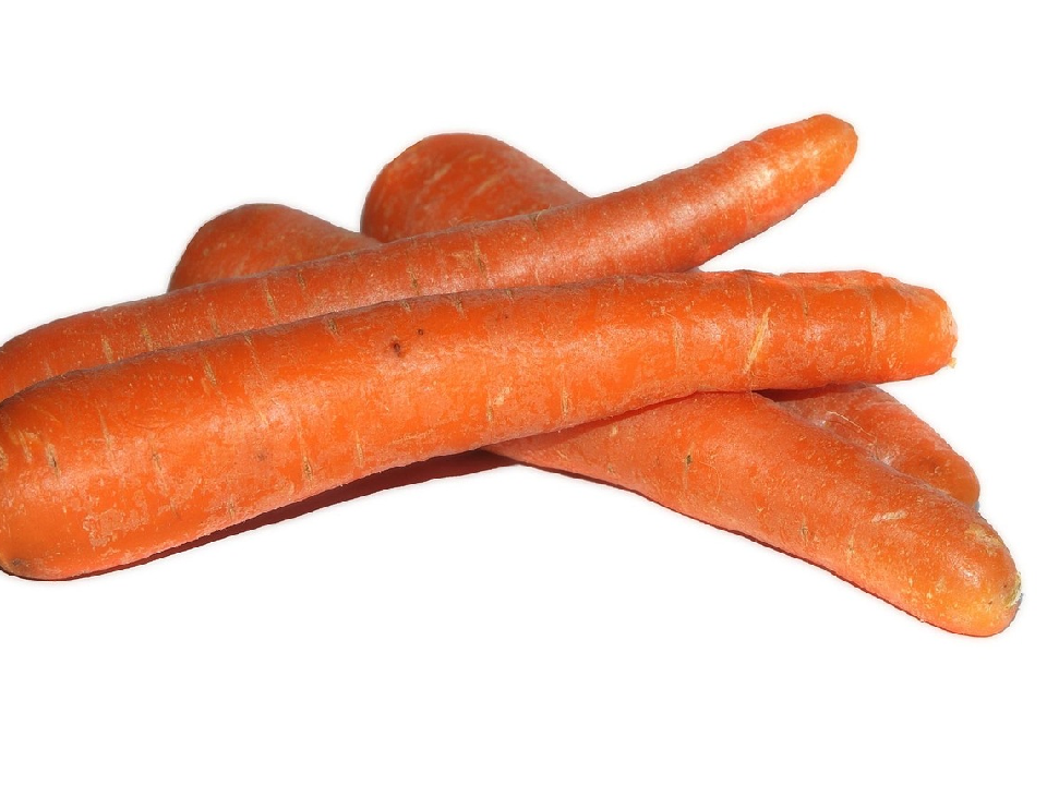 carota vdg